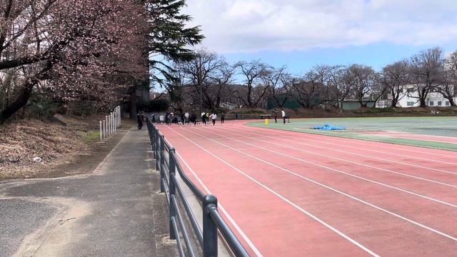 44 20240302 60 2-3 смотреть онлайн