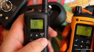 Motorola TLKR T60 Первый взгляд - Распаковка - Обзор