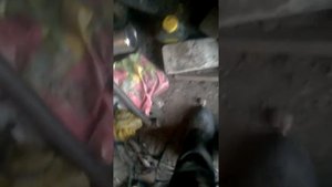 пневмоподвеска сам! передние стойки!