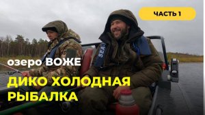 Осенняя холодная рыбалка на оз. Воже. Часть 1. Как не заморозить собаку в лодке :) #рыбалка