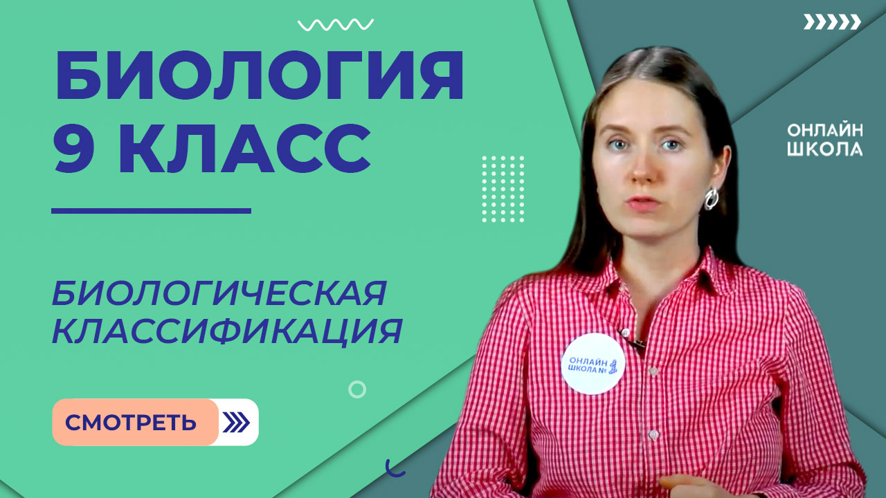 Биологическая классификация. Урок 26. Биология 9 класс