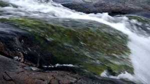 Мурманская область, природа побережья Баренцева моря