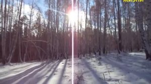 МОТОБЛОК НЕВА. ЗАВОДИМ. СНЕГ. МОРОЗ. ДРОВА. СУРОВЫЕ МУЖИКИ.