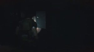 Resident Evil 3 Combine Scope with CQBR Assault Rifle Increase Accuracy