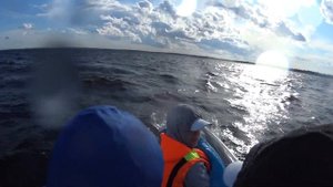 винбот 460 яма 9.9 легкий ветерок на ладоге