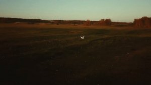 ЗЛОВАРЬ/ Я не планктон / Дмитрий СЕдой Крупин  (Drum Playthrough)