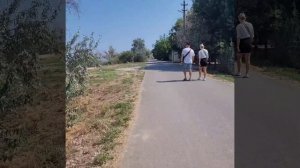 продажа домов и участков в темрюкском районе посёлок Ильич #Темрюк #Кучугуры #купитьдомнаазовскомор