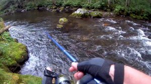 За Хариусом на горную речку. Первый заезд 2021. Хариус, Ленок, Сима.