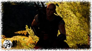 Ведьмак 3: Дикая Охота #69. Чудище из Доброва