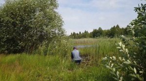 Донная коса против резника чарота