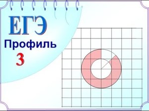 ЕГЭ. Площадь кольца. Задания на клетчатой бумаге