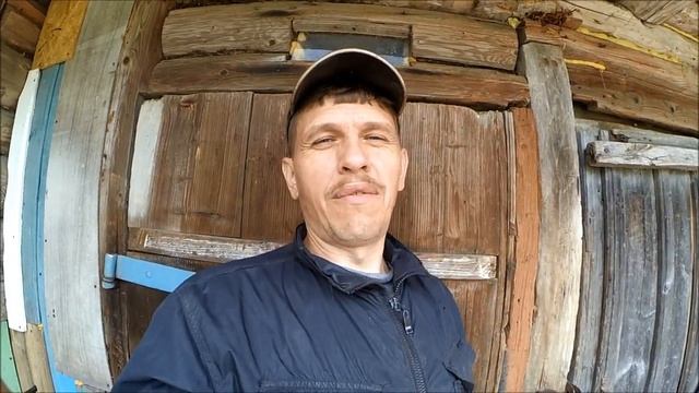 Яйценоскость кур на втором году // Чем кормлю кур // О свободном выгуле кур