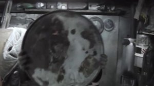 Печь из бочки для бани