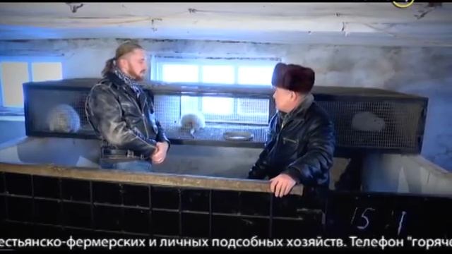 15.01.17 «Своя ферма». Нутрии