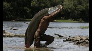 Cамые большие рыбы