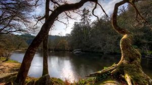 Презентация о России/Presentation about Russia (All about Russia)