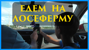 ПУТЬ К МЕЧТЕ. Исполнил свою маленькую мечту. Дорога до Лосефермы (п. Якша).