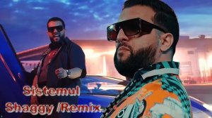 Tzanca Uraganu - Sistemul Shaggy , Sistemul Din Dubai ❌ UltraMix 2023 ❌