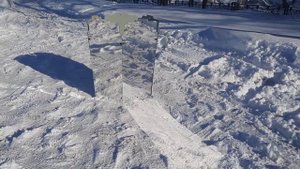 скрадок зеркальный