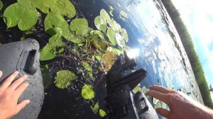 РЫБАЛКА НА КРУЖКИ. ПЛОВ НА КОСТРЕ. часть 1.