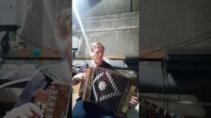 Одинокая бродит гармонь