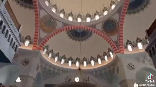 Кошка в мечети! смотреть онлайн