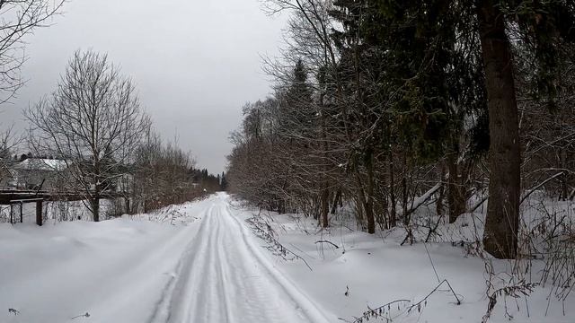 Начало покатушки на фэтбайке  по заброшенной военной дороге через лес под Тимоново. Что нас ждет?