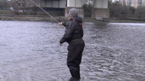 Головы короткие и длиные. Продолжение разговора.