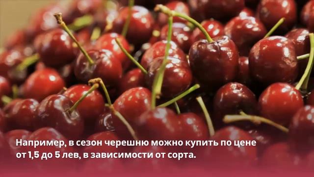 Болгария для пенсионеров из Израиля