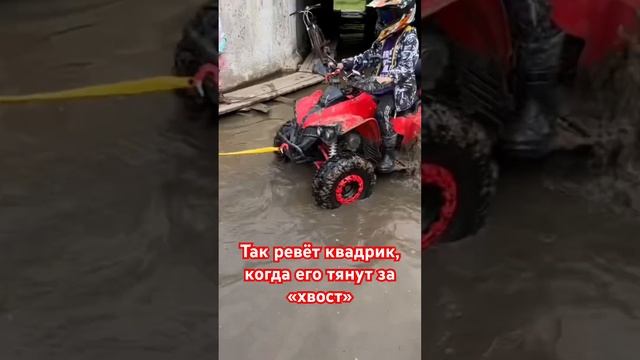 Рык мотора квадроцикл 125 кубов #квадрик