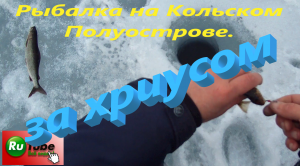 Рыбалка на Кольском Полуострове. В поиске хариуса. Рыбалка на озере Имандра.