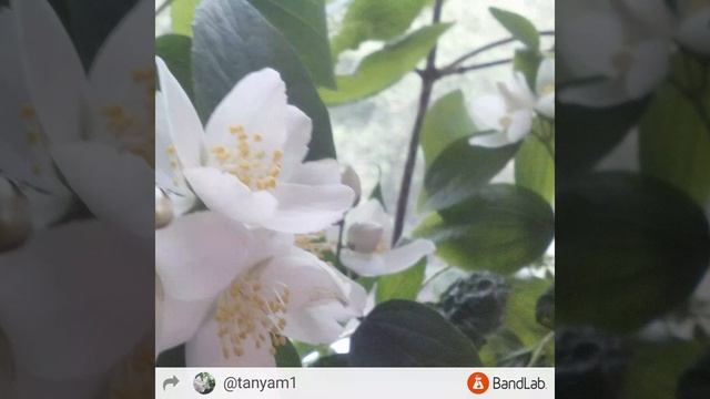 Дорога Дальняя Музыка которая рвет душу