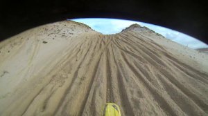 Бешеный лис 2018