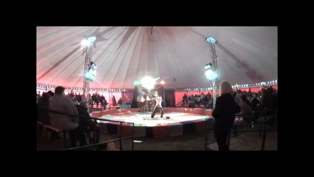 Поездка в цирк "АРЛЕКИНО" смотреть онлайн