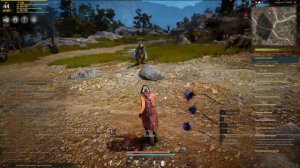 Black Desert - Квест "Не допустить утечки", поймать странного воина