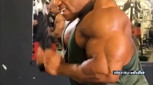 MONSTER BICEPS AND TRICEPS - HARDCORE ARM WORKOUT - PHIL HEATH MOTIVATION
