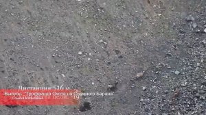 Охота в Африке