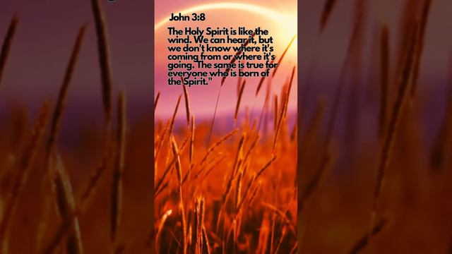 Children's bible verse June 23