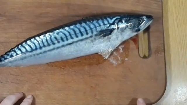 КАК ЗАСОЛИТЬ СКУМБРИЮ. РЕЦЕПТ ЗАСОЛКИ.
