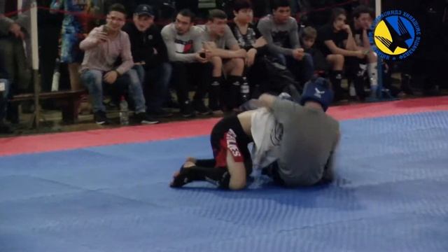 Чемпионат Одесской области по MMA - h60 Одесса 2018.03.10 смотреть онлайн