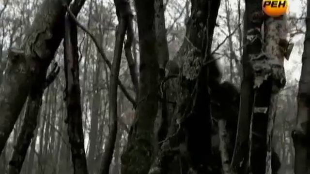 Снежный человек Тайны мира