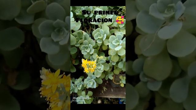 24 de marzo de 2023 смотреть онлайн