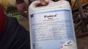 Рост корня.Стимуляторы ЭНРАЙВЕЛЛ и РАЙСА