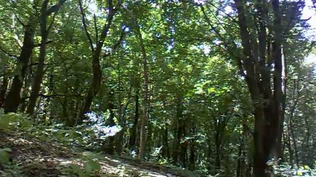 Питбайк GEON X-Pit pitbike смотреть онлайн