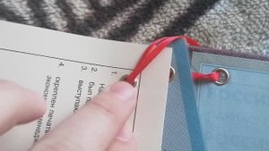 Как выглядит Апостиль на подтверждении диплома об образовании. Железные Колечки и красная ленточка!