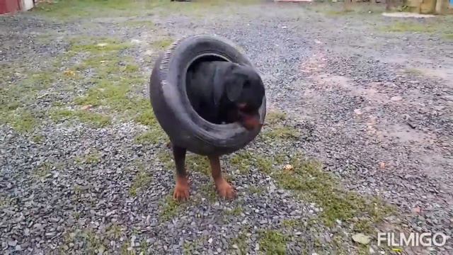 Нашего размера пуллер смотреть онлайн