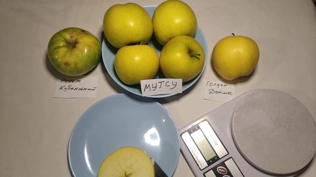 Яблука Мутсу. Зимовий сорт яблунь Японської селекції.