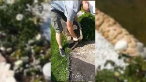 Как поменять геотекстиль под белой галькой