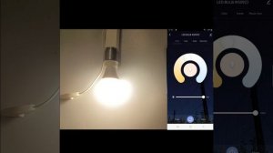 Подключаем умную лампочку. светильник к приложению и Digma SamrtLife и Алисе