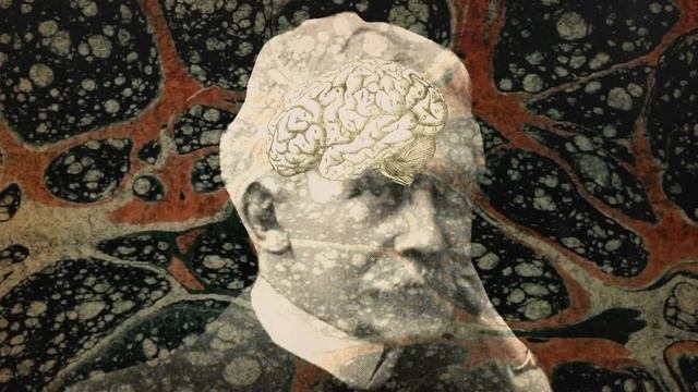 Higher Consciousness смотреть онлайн